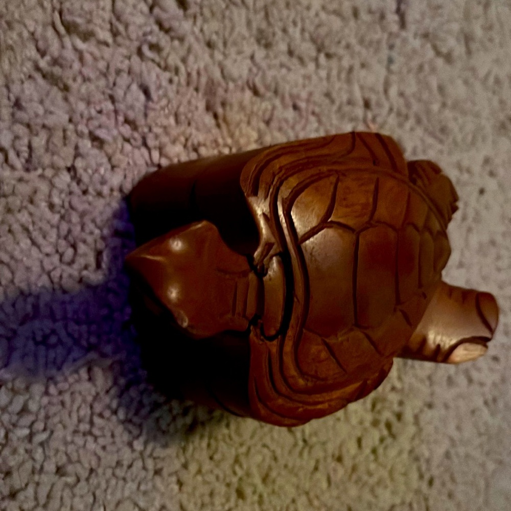 Turtle puzzle box